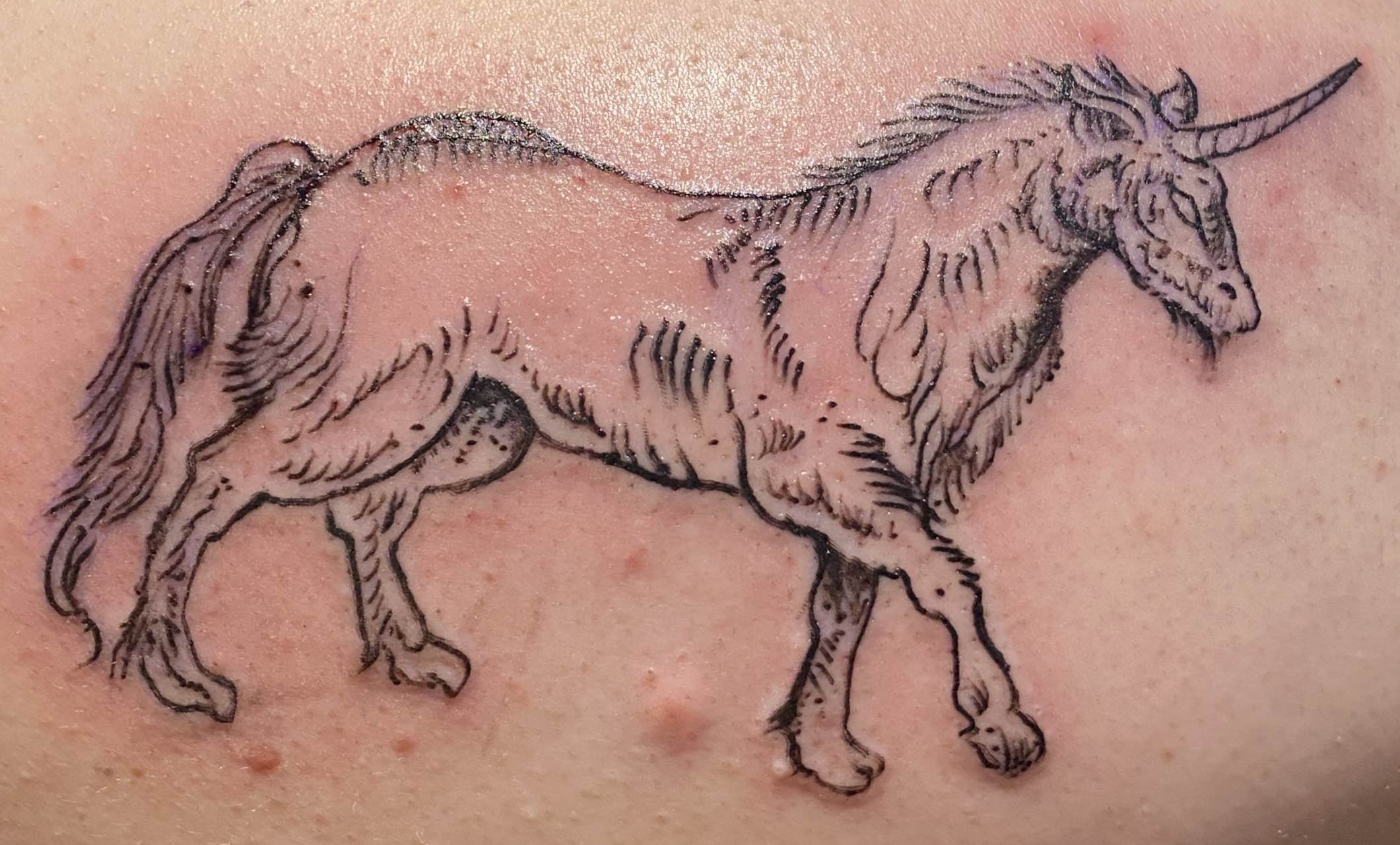 a crisp image of a fresh tattoo depicting a unicorn with a curved horn, overgroun fur, and bulky build